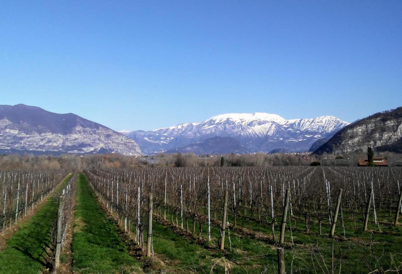 Bed and Breakfast Cascina San Martino Passirano Экстерьер фото